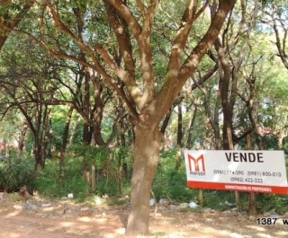 TERRENO 1.806 M2 Z/ SUPER STOCK BRITEZ BORGES LUQUE