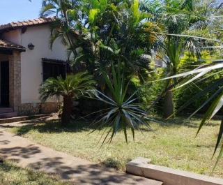 TERRENO S/ AVDA. ESPAÑA C/ BRASILIA - 727 M2